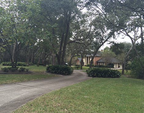 Driveway leads to a brick house with columns, surrounded by trees and green landscaping.