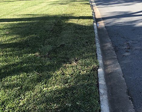 Green grass next to a road, with sunlight and shadows.
