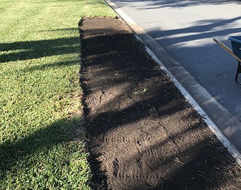 Long, prepared soil bed adjacent to a curb, next to green grass.