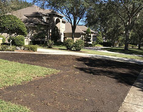 Front yard with newly laid mulch next to a grassy lawn and a sidewalk, trees and a house in the background.