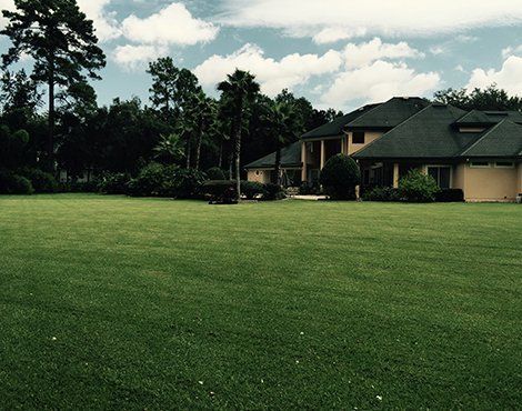 Large, manicured green lawn in front of a tan two-story house with a dark green roof and a cloudy blue sky.