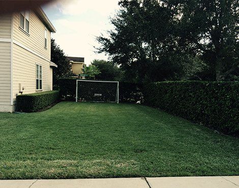 Soccer goal on a green lawn between a hedge and a two-story house.
