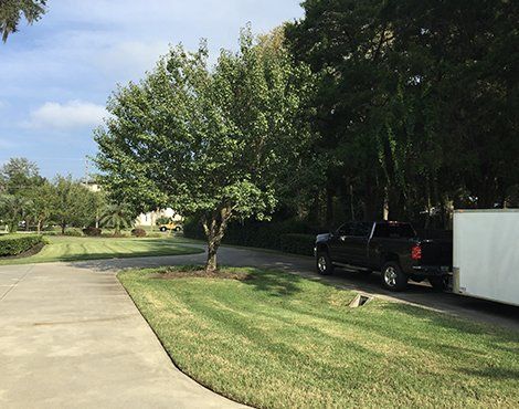 A black truck with a white trailer parked next to a tree on a green lawn by a driveway.