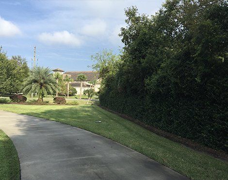 Paved path curves through a grassy area, lush green foliage on the right, and houses in the distance under a partly cloudy sky.