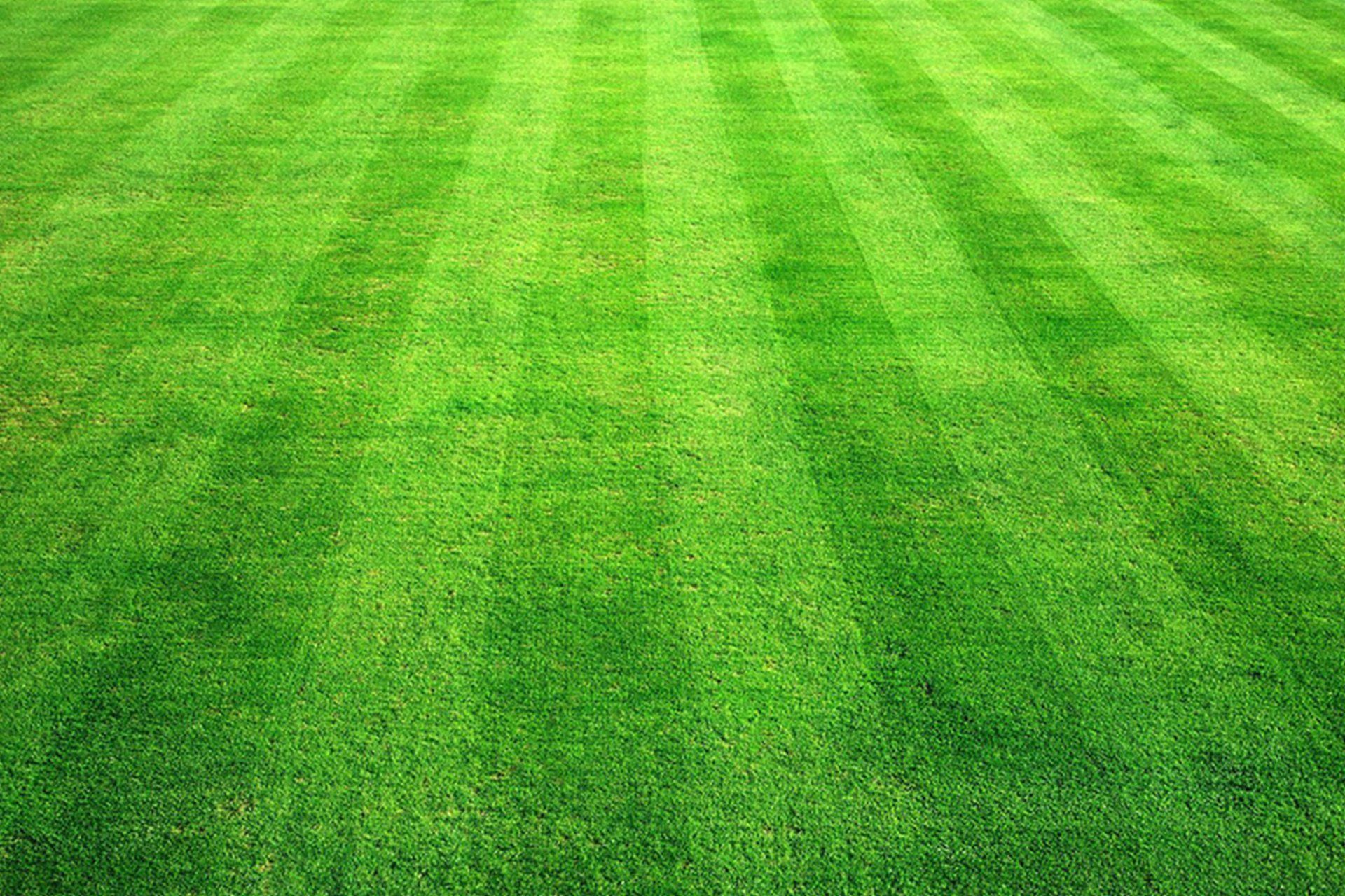 Green lawn with alternating light and dark stripes.