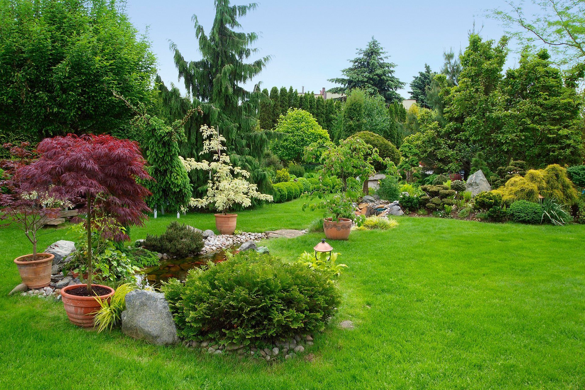 Lush garden with a pond, diverse trees, green grass, and potted plants.