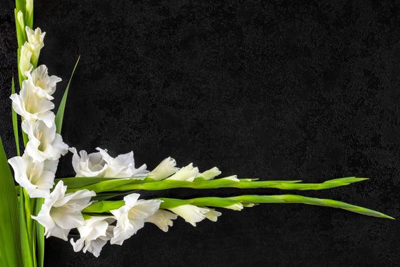 fiori per addobbi funebri