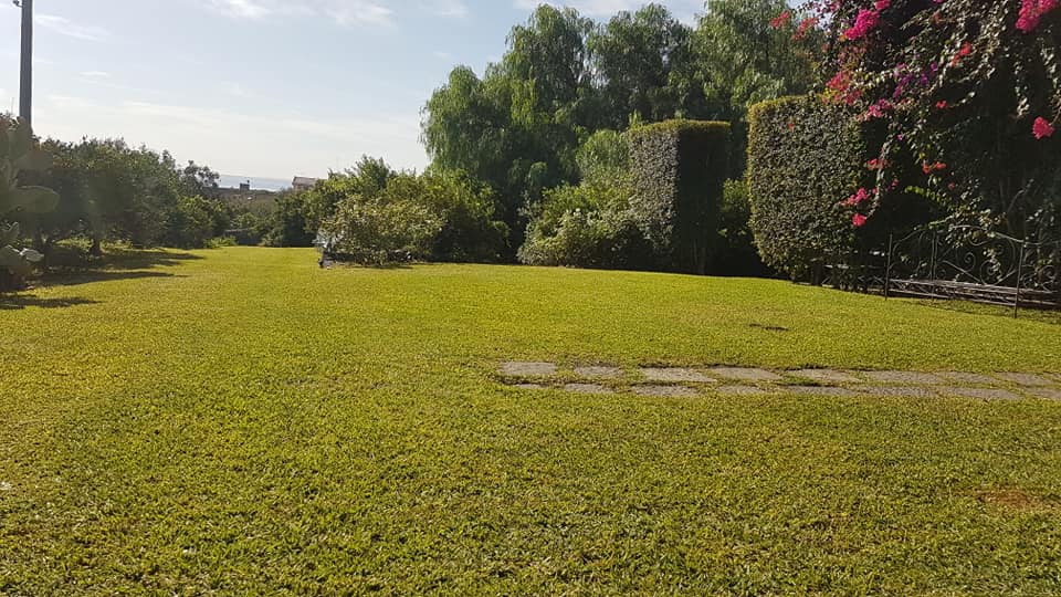 giardinaggio