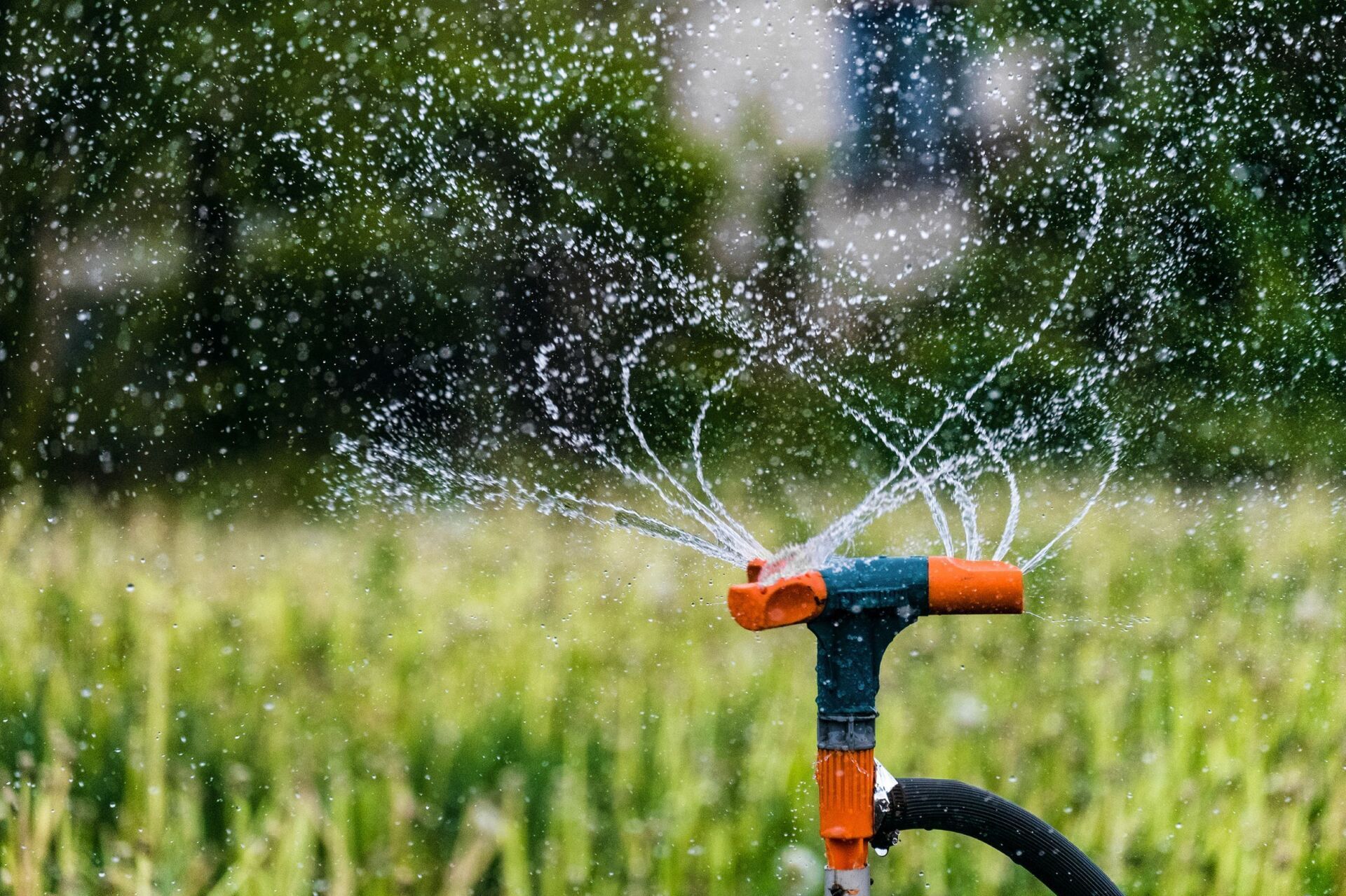 irrigazione