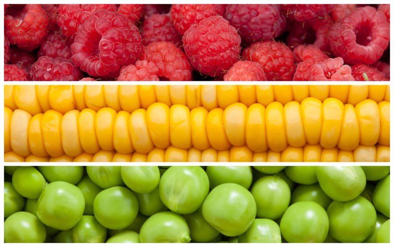 Chemicals for Food Processing
