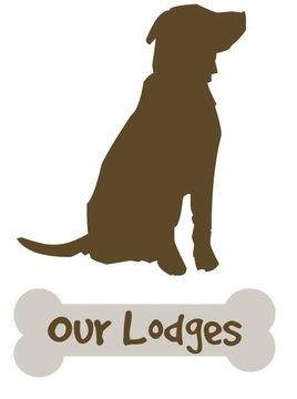 Our Lodges Our Dog-friendly Holiday Lodges