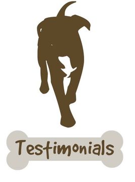 Testimonials Balmaghie Dog-friendly Holidays Reviews