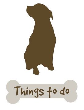 Things to Do Things to Do in Dumfries & Galloway