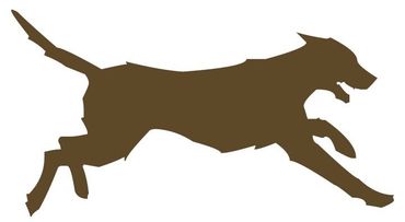 Dogs and their owners love Balmaghie Dog Friendly Holidays
