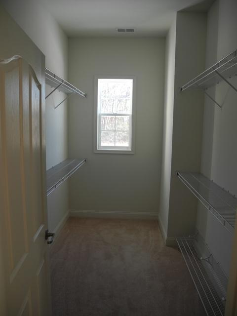 Before Photo