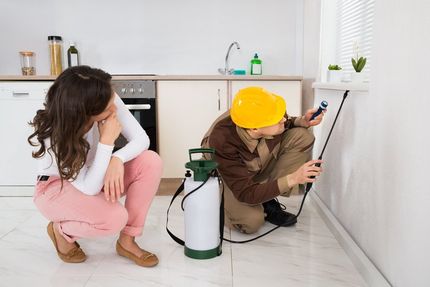 Spraying Insecticide Under Windowsill - Pest control in Lafayette, NJ
