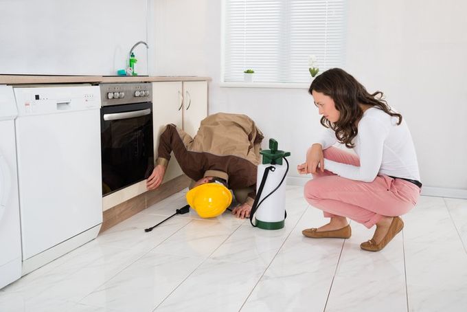 Woman And Worker With Pesticide Sprayer - Exterminating services in Lafayette, NJ