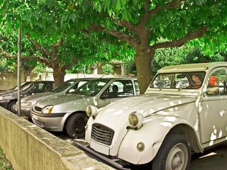 Cars under the Trees — York, PA — Lincolnway Swimming Pool And Sports Club Inc Cars under the Trees — York, PA — Lincolnway Swimming Pool And Sports Club Inc