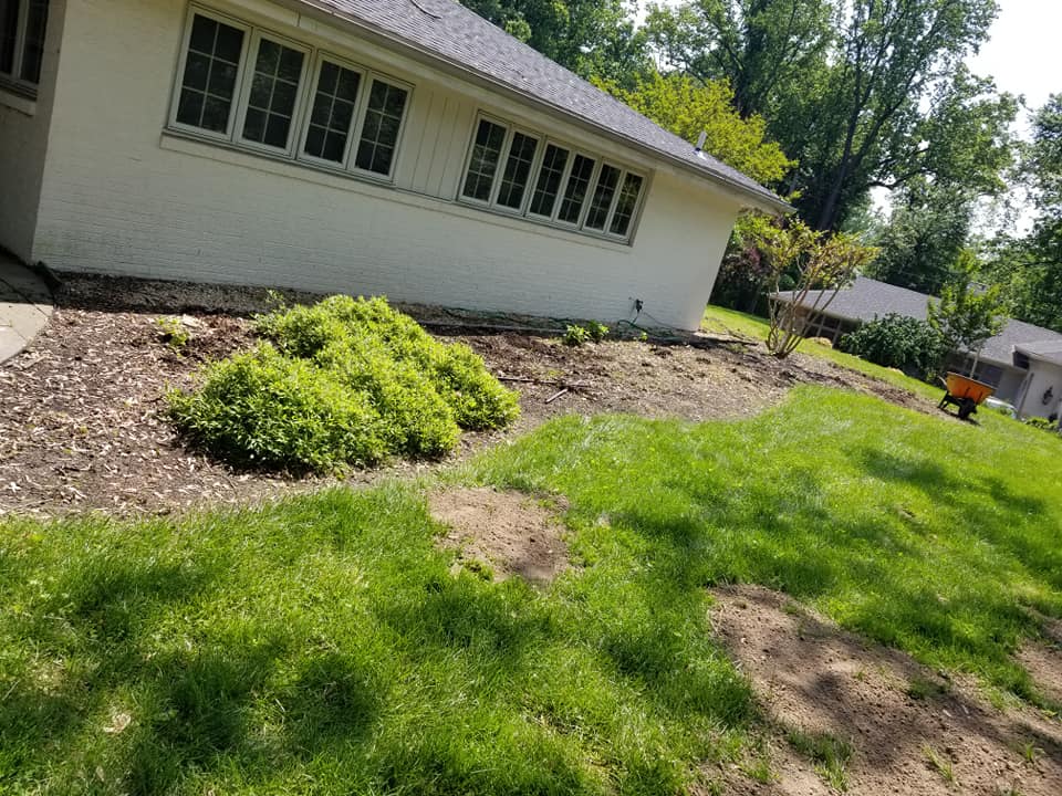 House with boring landscape before ING