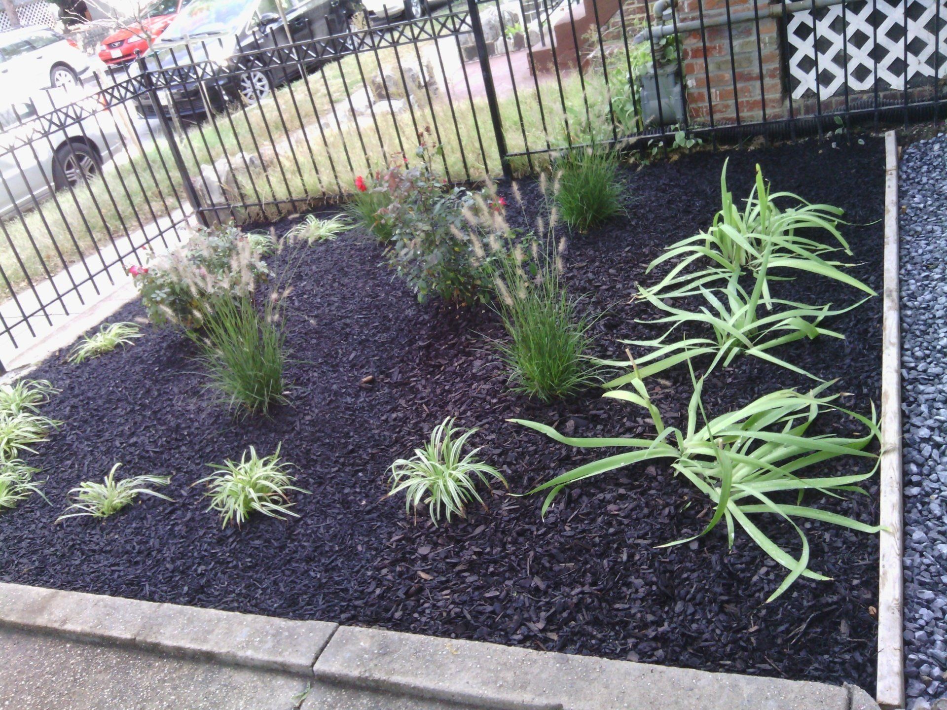A garden with a fence and a lot of plants in it