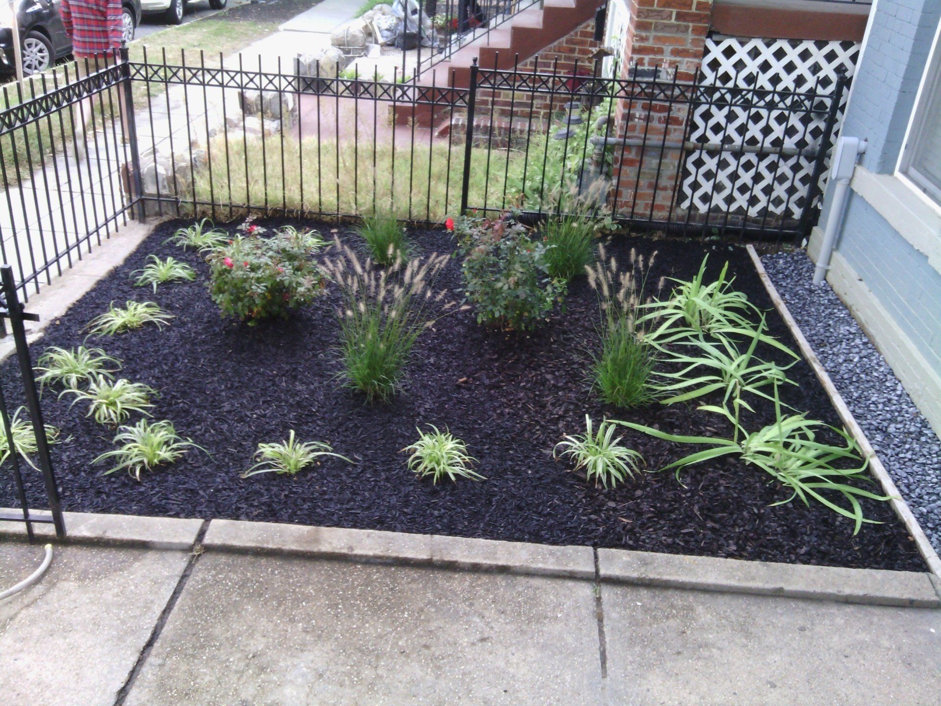 A garden with plants and mulch in front of a house