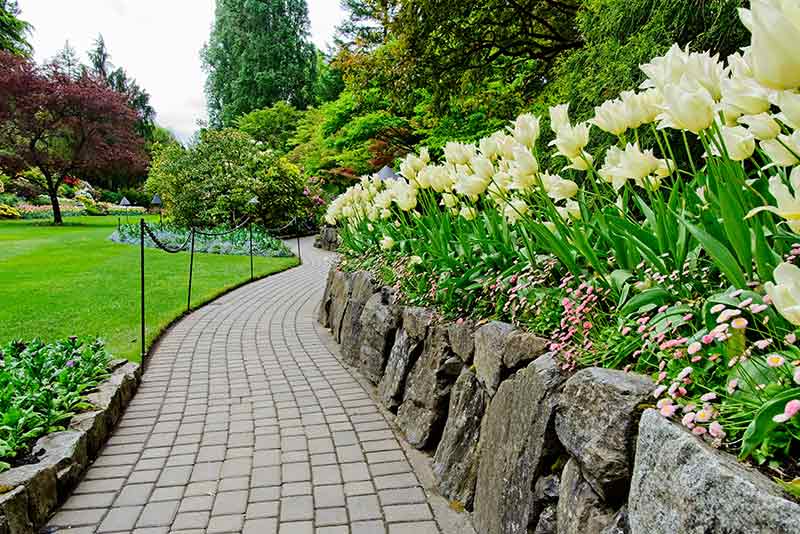 Lush Springtime Garden — Landscaping and Excavation Services in Cameron Park, NSW