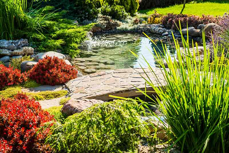 Landscape With Mini Pond — Landscaping and Excavation Services in Cameron Park, NSW