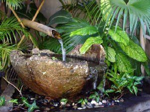 water flowing from a bamboo pipe