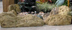 Coral Boulders