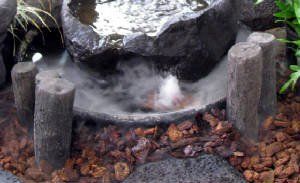 Japanese Garden Logs