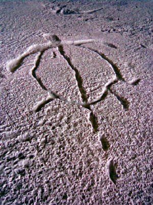 Engraving on the stone