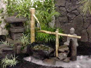 Beautiful Rustic Hawaiian water garden