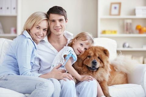 Vet Clinic — Family at Home with a Big Fluffy Dog in Sisters, OR Vet Clinic — Family at Home with a Big Fluffy Dog in Sisters, OR
