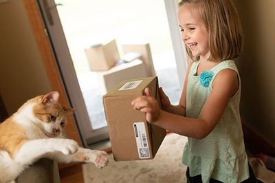 Home Delivery — Delivery Box to Cat in Sisters, OR Home Delivery — Delivery Box to Cat in Sisters, OR