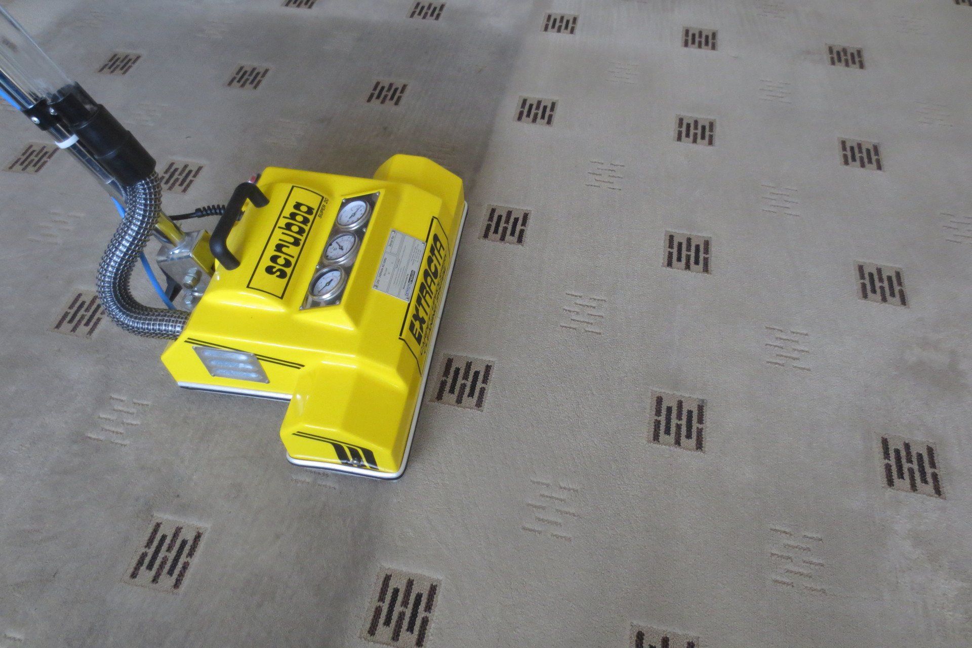 Sofa Cleaning
