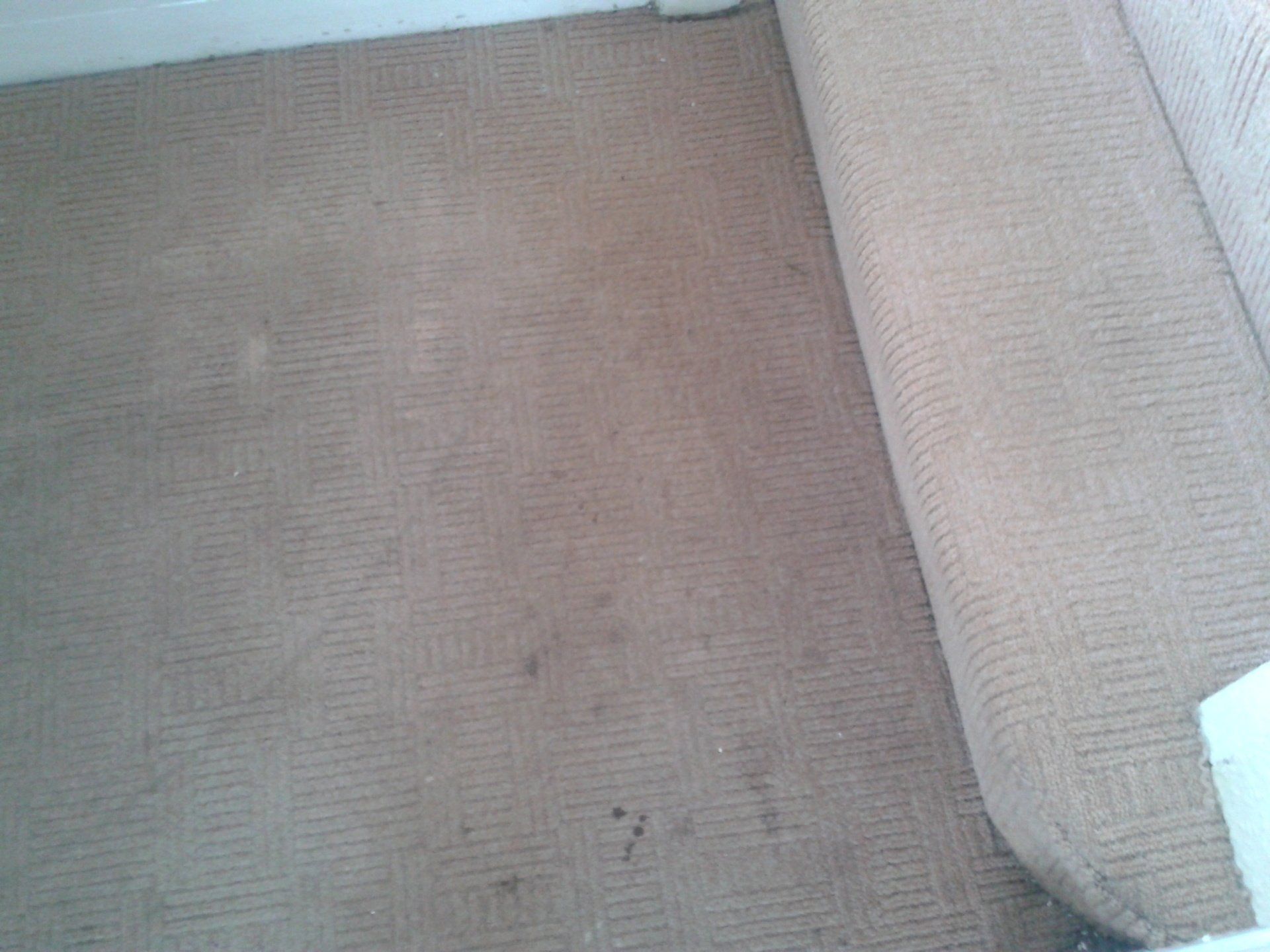 Our cleaning services