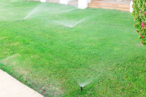 Sprinkler in garden watering the lawn - Durham, NC - The Silent Treatment Sprinkler in garden watering the lawn - Durham, NC - The Silent Treatment