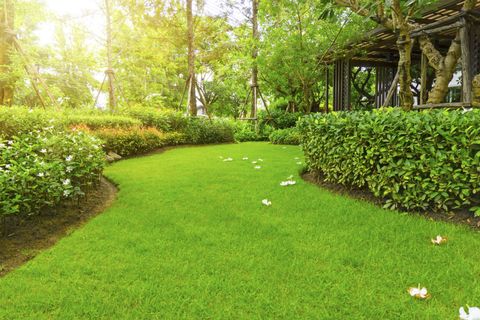 landscape of smooth green grass lawn - Durham, NC - The Silent Treatment landscape of smooth green grass lawn - Durham, NC - The Silent Treatment