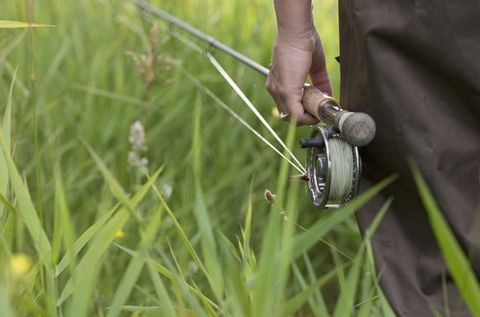 Fishing rod