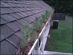 House Gutter Replacement — New Bern, NC — Carolina Seamless Gutter Co
