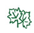 Green outline of two leaves.
