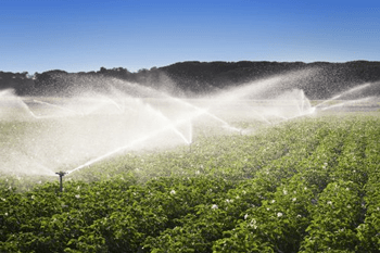 Watering System, Seneca Falls, NY