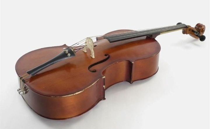 Violino