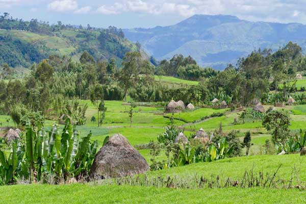 Ethiopia