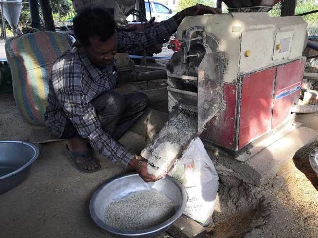 Receiving milled dry rice