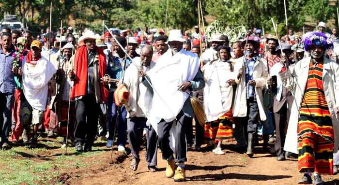 Tradition for elderly men to walk with a stick shaped like a spear