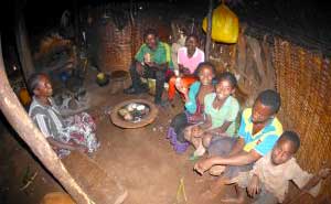 Dinner time (Sweet Potato)