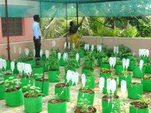 Community Empowerment in India