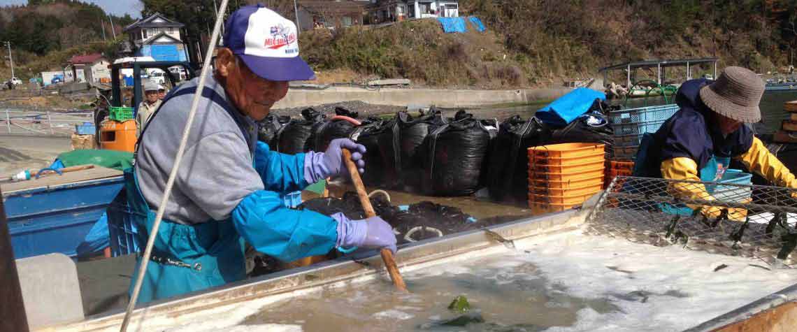 Tohoku Recovery