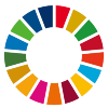 SDG Wheel